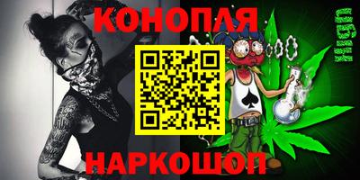 Альфа ПВП Владикавказ